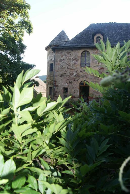 Chateau De Salelles Banassac Exterior photo