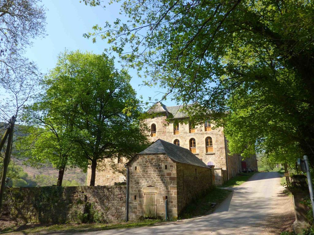 Chateau De Salelles Banassac Exterior photo